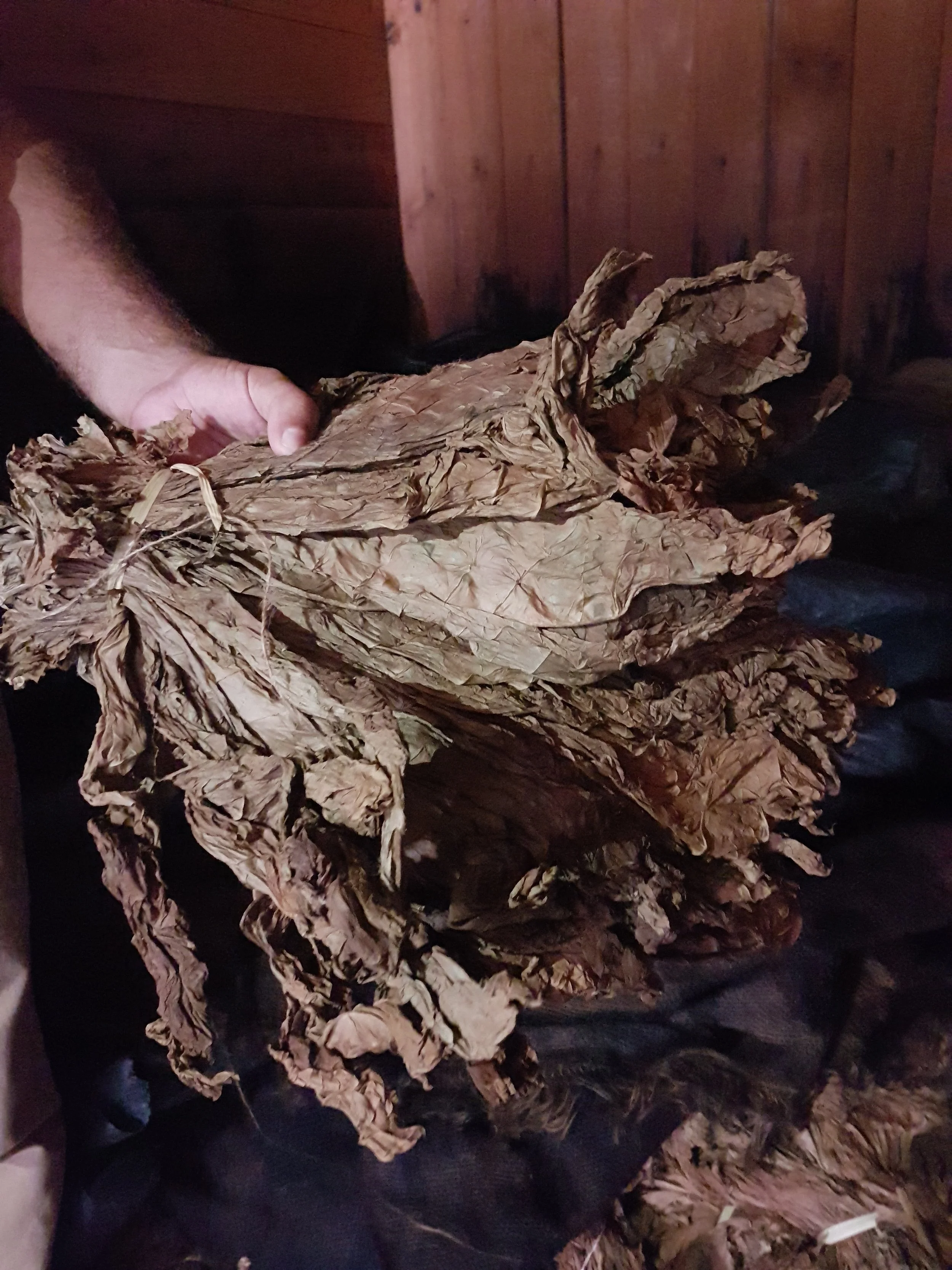 20170718_120024.jpg