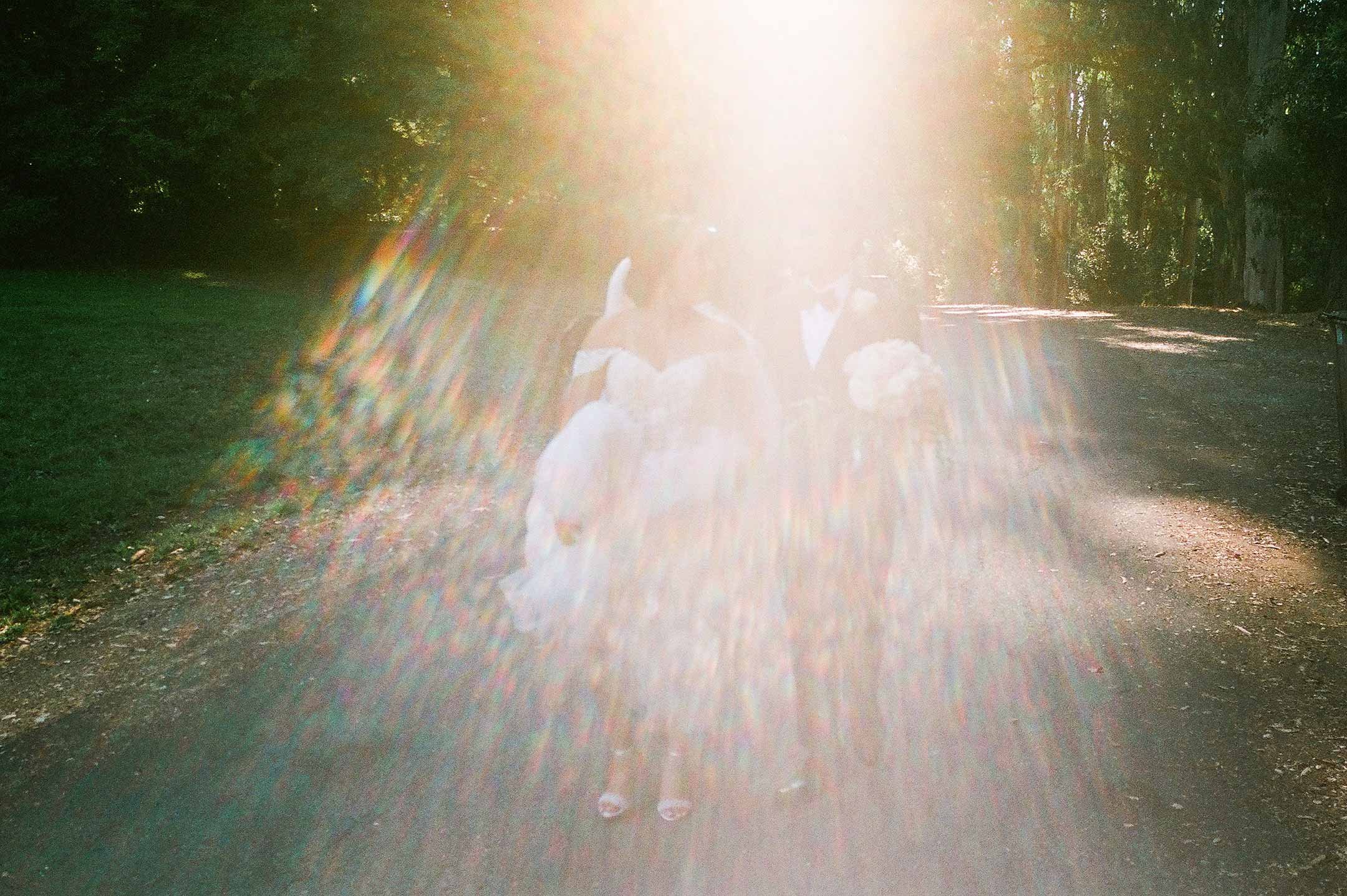 15_Berkeley-Wedding-Film-LensFlare-SonyaYruel.jpg