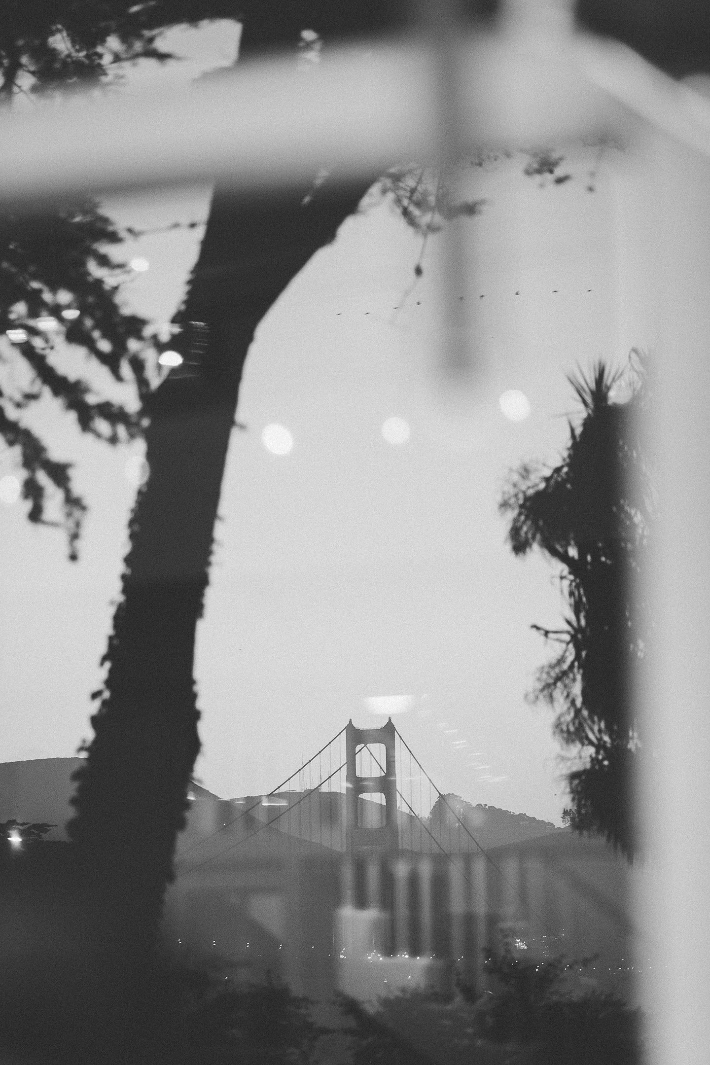 045_GoldenGateClub_SonyaYruel.jpg
