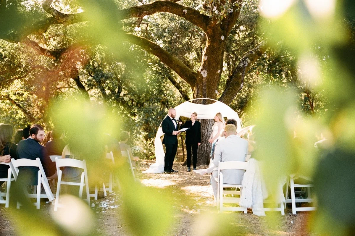 An Intimate Healdsburg Vineyard Wedding in Sonoma Wine Country