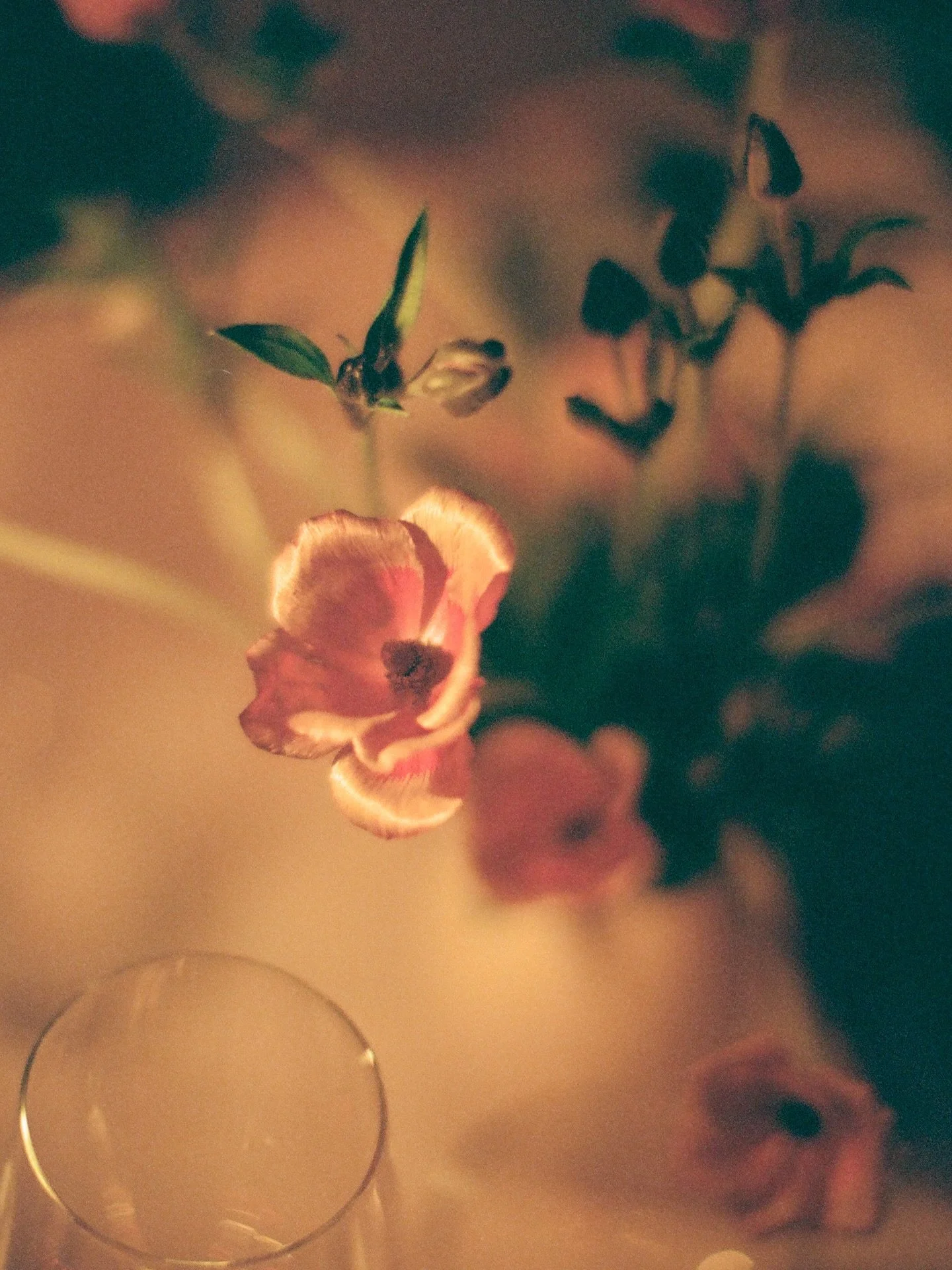 From a recent @foreigncinemasf wedding, captured on film. 🎞️
 
Messages like this stay with me:
&ldquo;It&rsquo;s hard to put into words how much it means to have our wedding day captured with such care. Looking at the photos brings us right back to