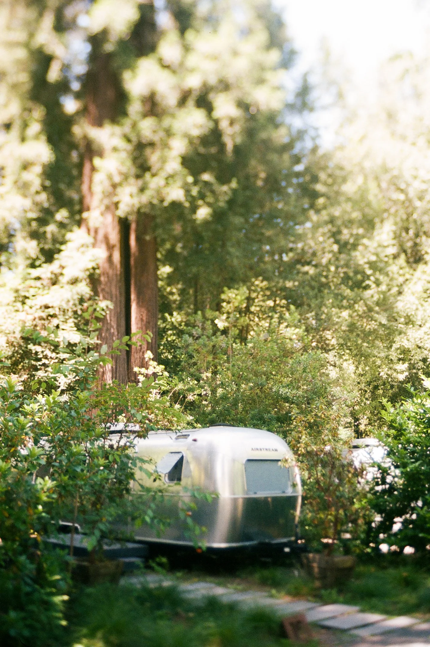 1139_film_autocamp_sonoma.jpg