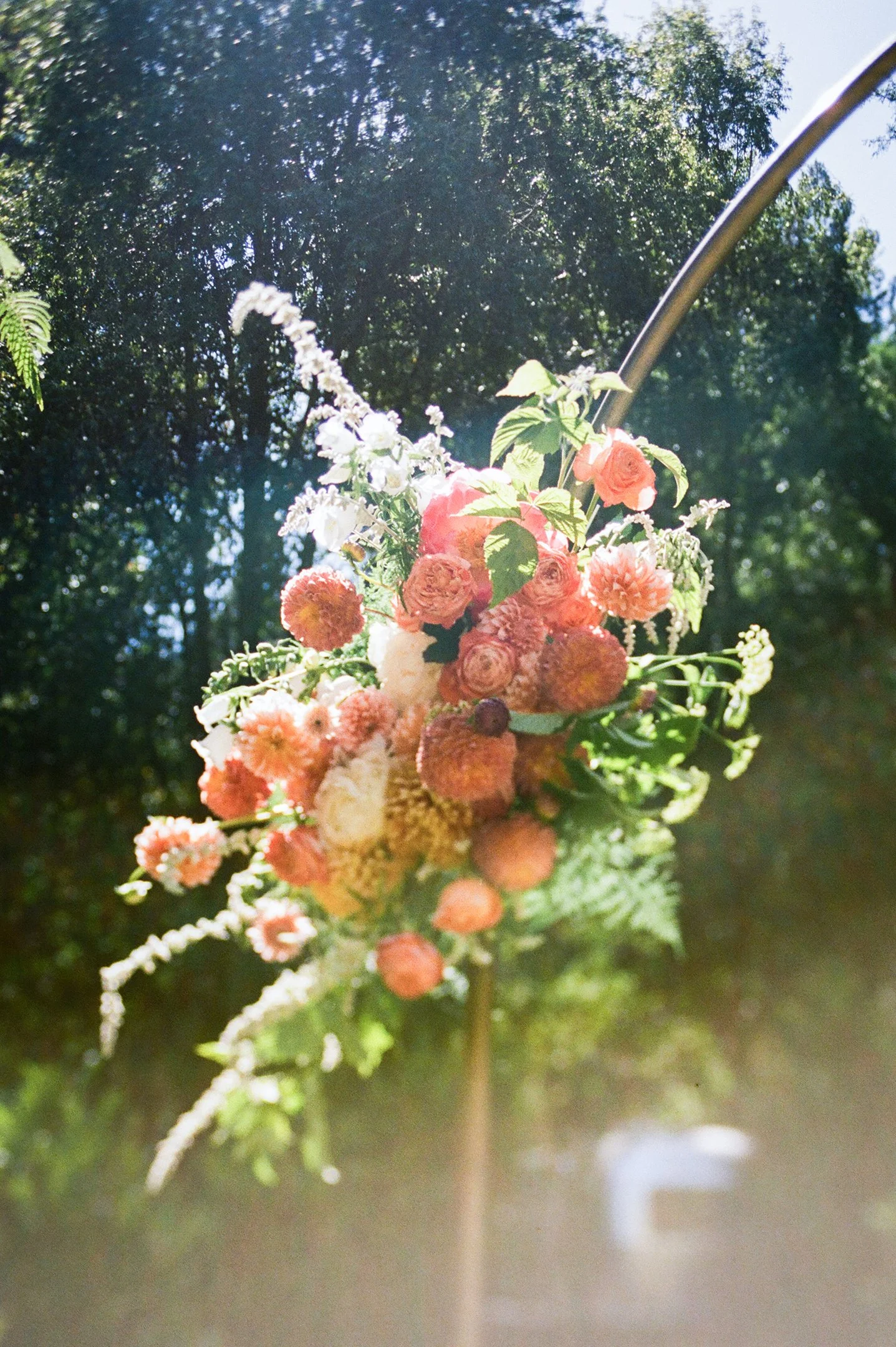 1147_film_autocamp_sonoma.jpg