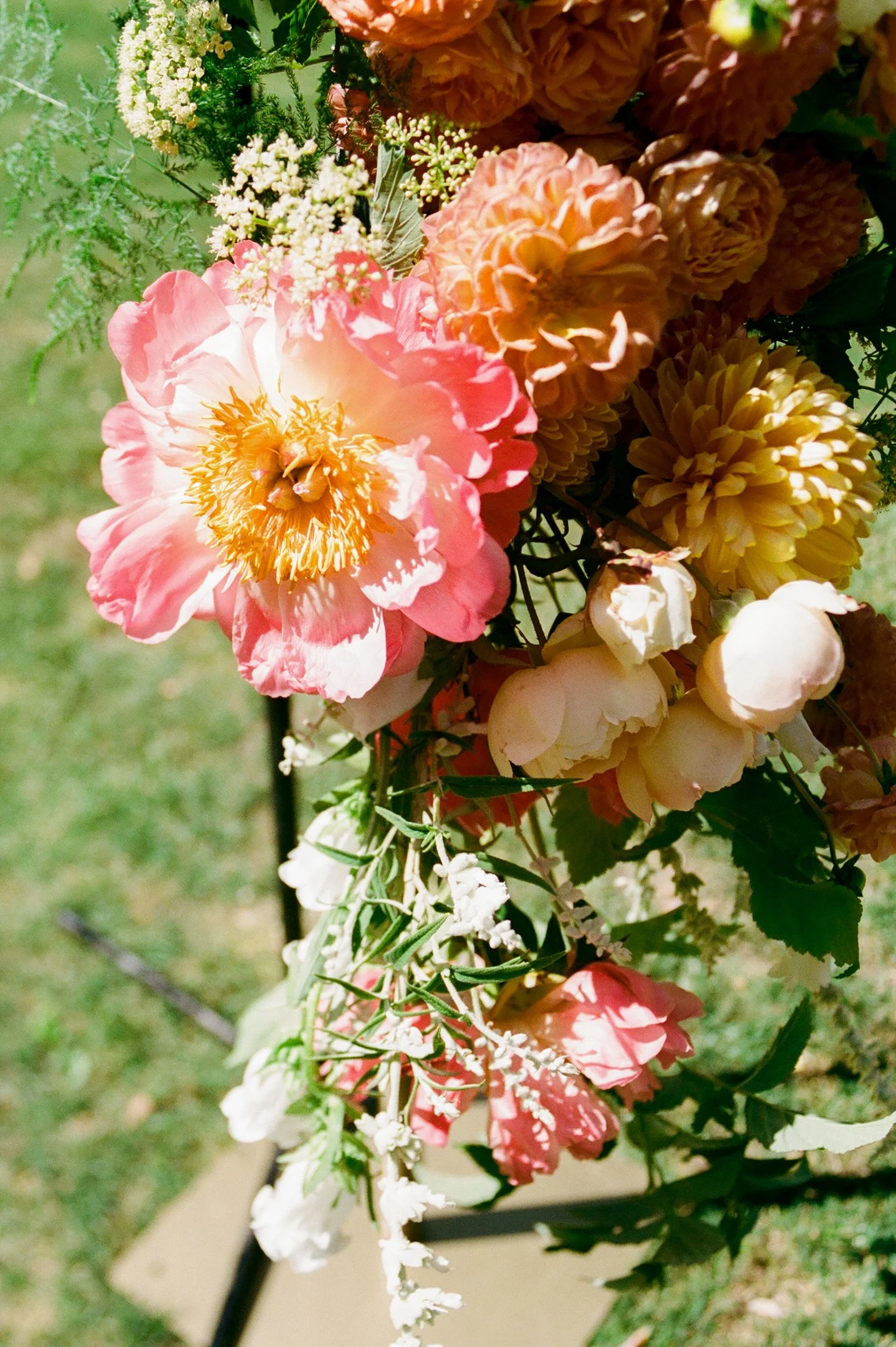 1148_film_autocamp_sonoma.jpg
