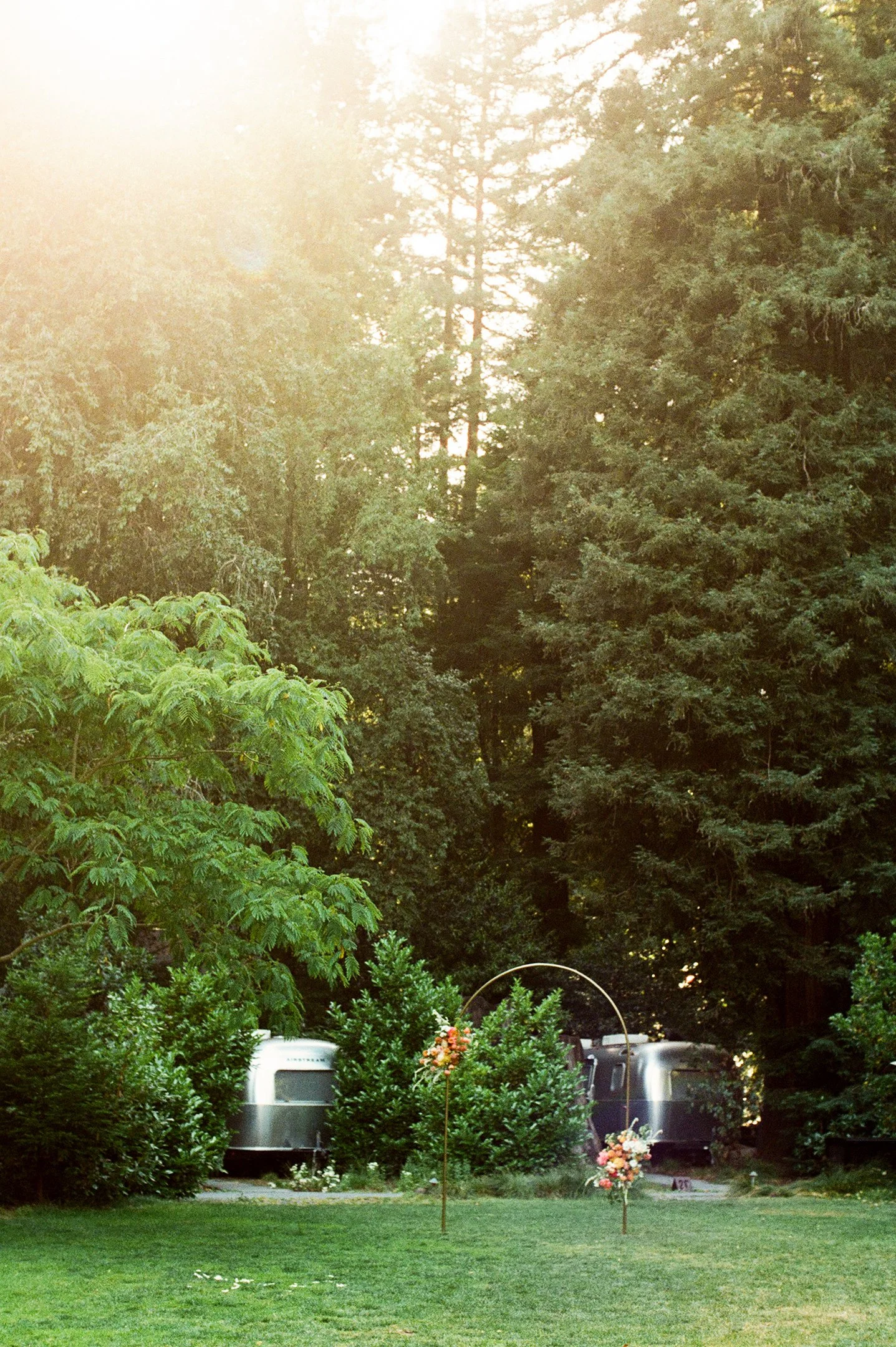 1177_film_autocamp_sonoma.jpg