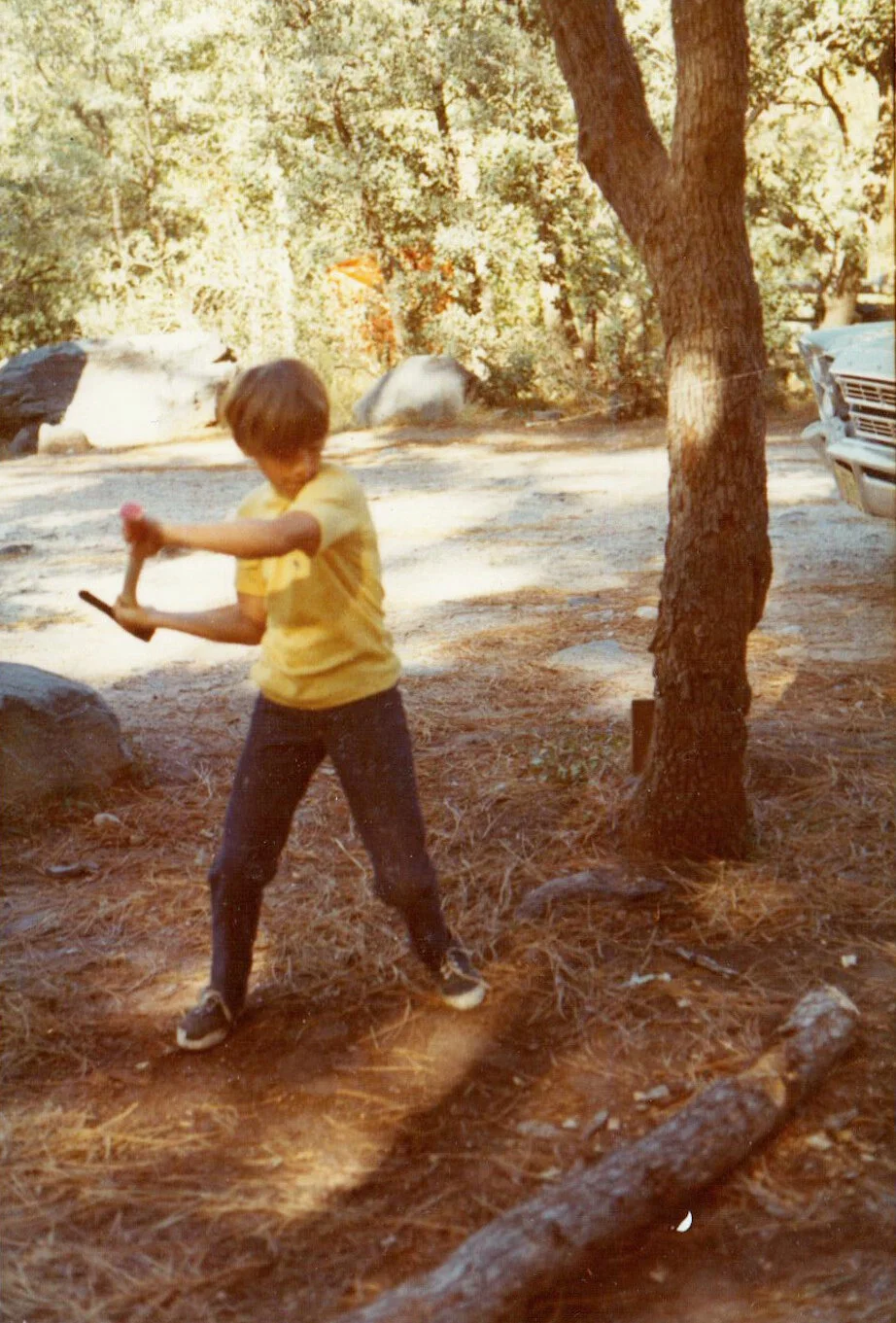 1970 Ken Chopping Log.jpg