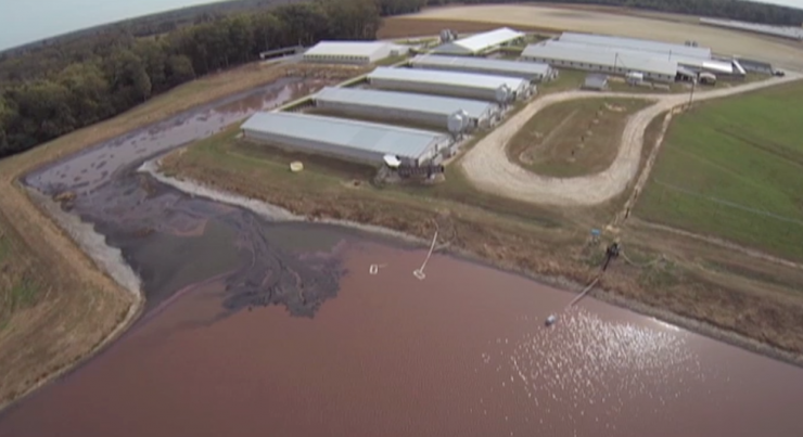 farm-pollution1.png