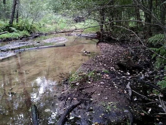 The Little Plover River in 2014 was below minimum levels set by the Department of Natural Resources. Stephen Born argues that it would be a mistake to break up the department into several different agencies.