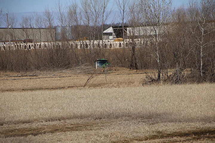 Emerald Sky Dairy is located around wetlands, the spill can lead to disaster.