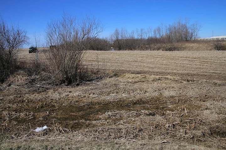 Thousands of gallons of both liquid and solid manure in the storm water pond.