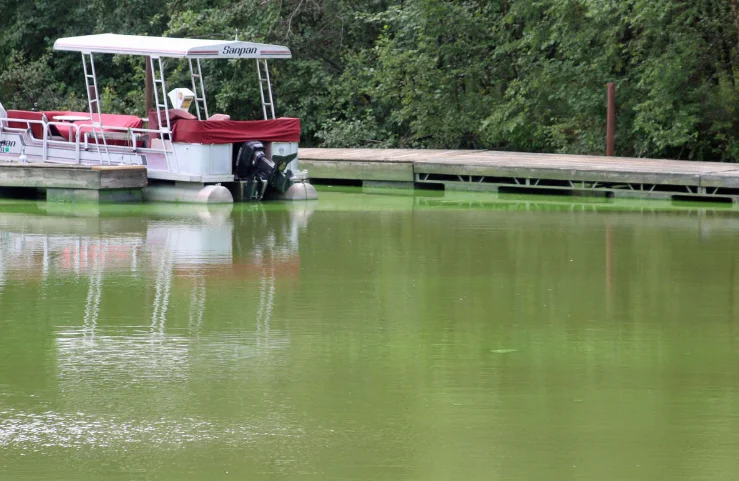 In 2010, the state was among the first in the nation to adopt specific, measurable standards for how much phosphorous could be released into state waters.