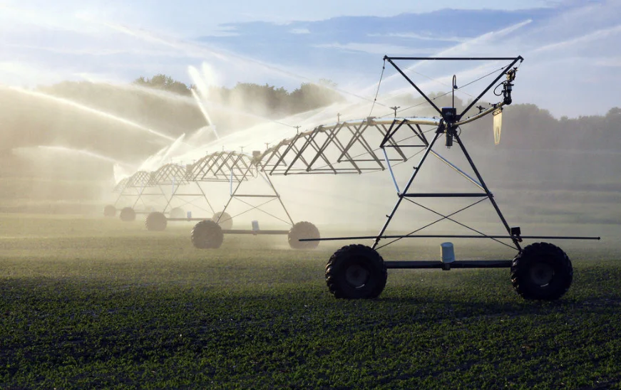 high-capacity wells have caused some rivers, lakes, and streams around the state to shrink or even dry up during the summer, damaging fish, wildlife, and their habitat.