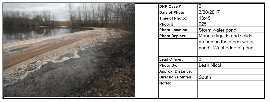   Manure liquids &amp; solids floating in the storm water pond.  