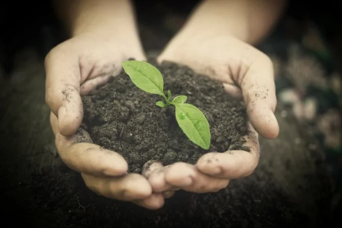 hands-in-soil.jpg