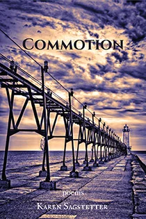 thumbnail_commotion-210.jpg