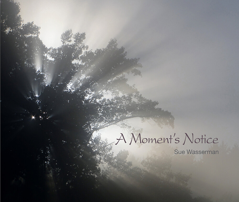Sue Wasserman