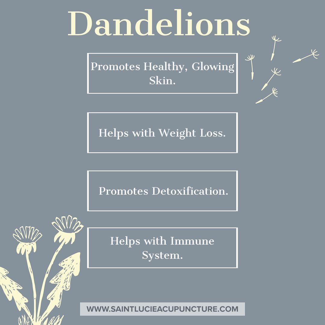 Dandelions aren&rsquo;t just a pretty flower, they&rsquo;re also a great asset for your body!  You can get the benefits from dandelion tea, cooking with dandelion greens, or even eat them raw. They are a great source of Vitamin A, Vitamin C, Vitamin 