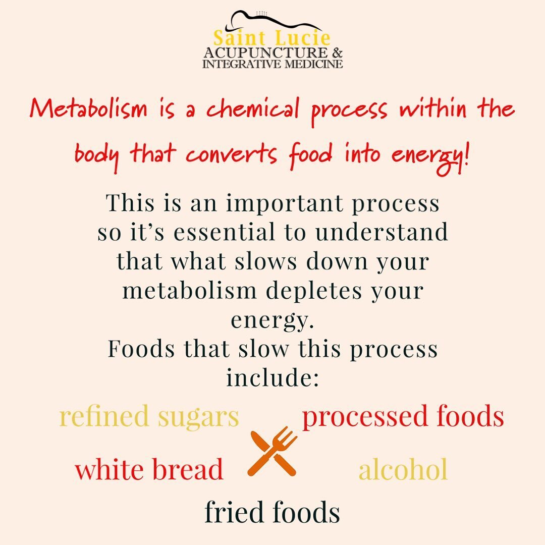 Metabolism can be slowed down by eating too many meals a day. Contrary to popular belief, eating frequently does not increase your metabolism. If you&rsquo;re constantly eating, your body is constantly digesting. Your body needs breaks so its other p