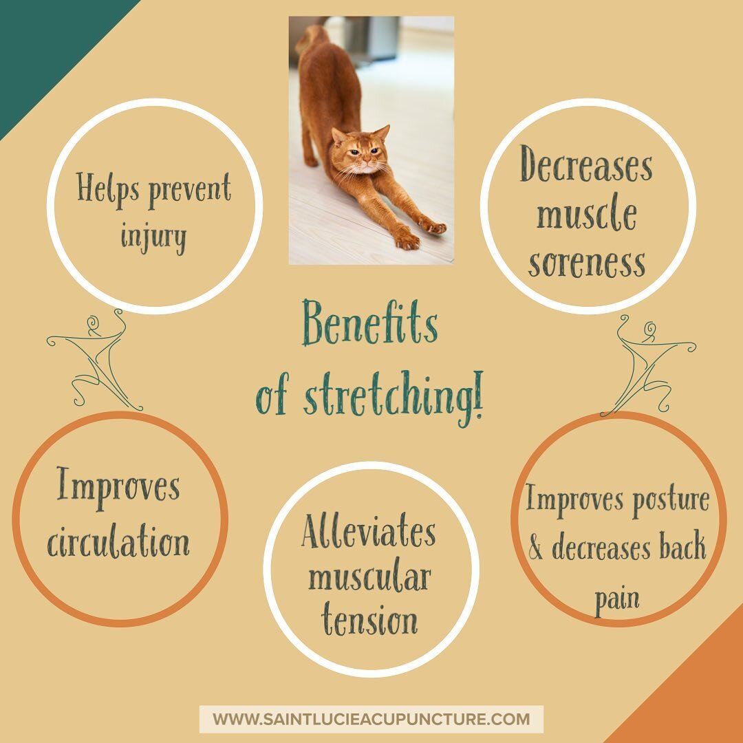 Stretching first thing in the morning is a great way to start your day! The best stretches to begin with can even be done in bed! These include child&rsquo;s pose, cobra stretch, knees to chest and spinal twist. Some good standing stretches would be 
