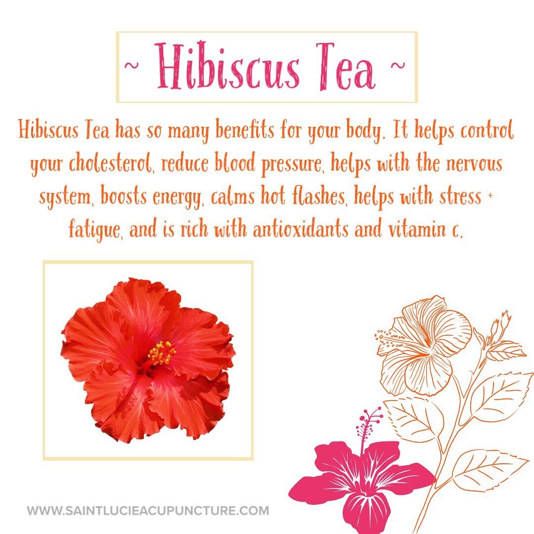 Hibiscus flower has many benefits for the body. To get the benefits of the tea, make sure its all natural so no chemicals or preservatives get in the way.  #acupuncture #saintlucieacupuncture #naturalmedicine #saintlucieacupunctureandintegrativemedic