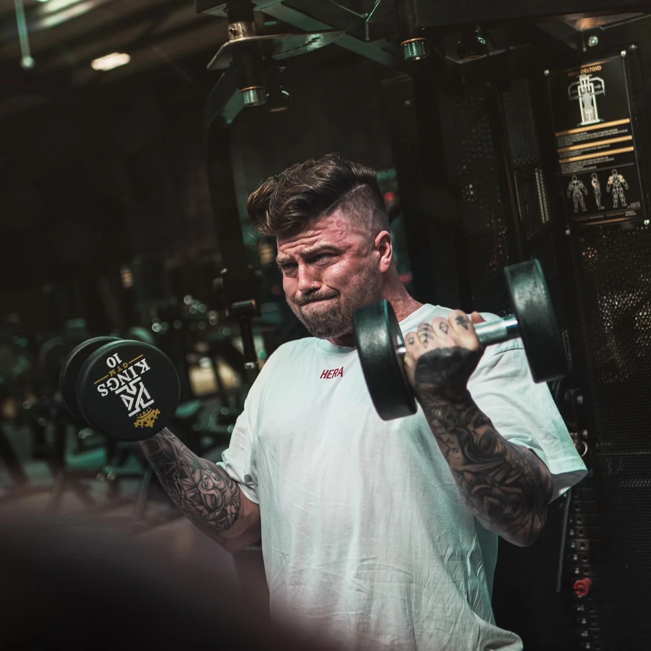 Movement Selection For Muscle Gain