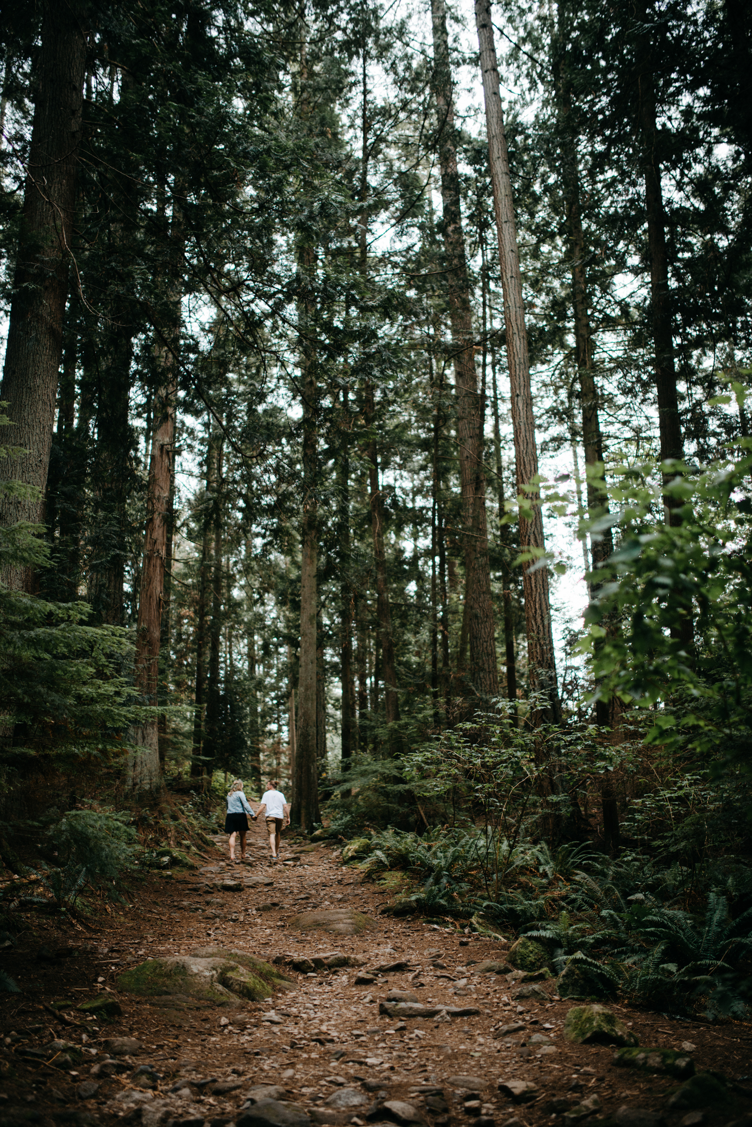 008_Lighthouse_Park_Engagement_Vancouver.jpg