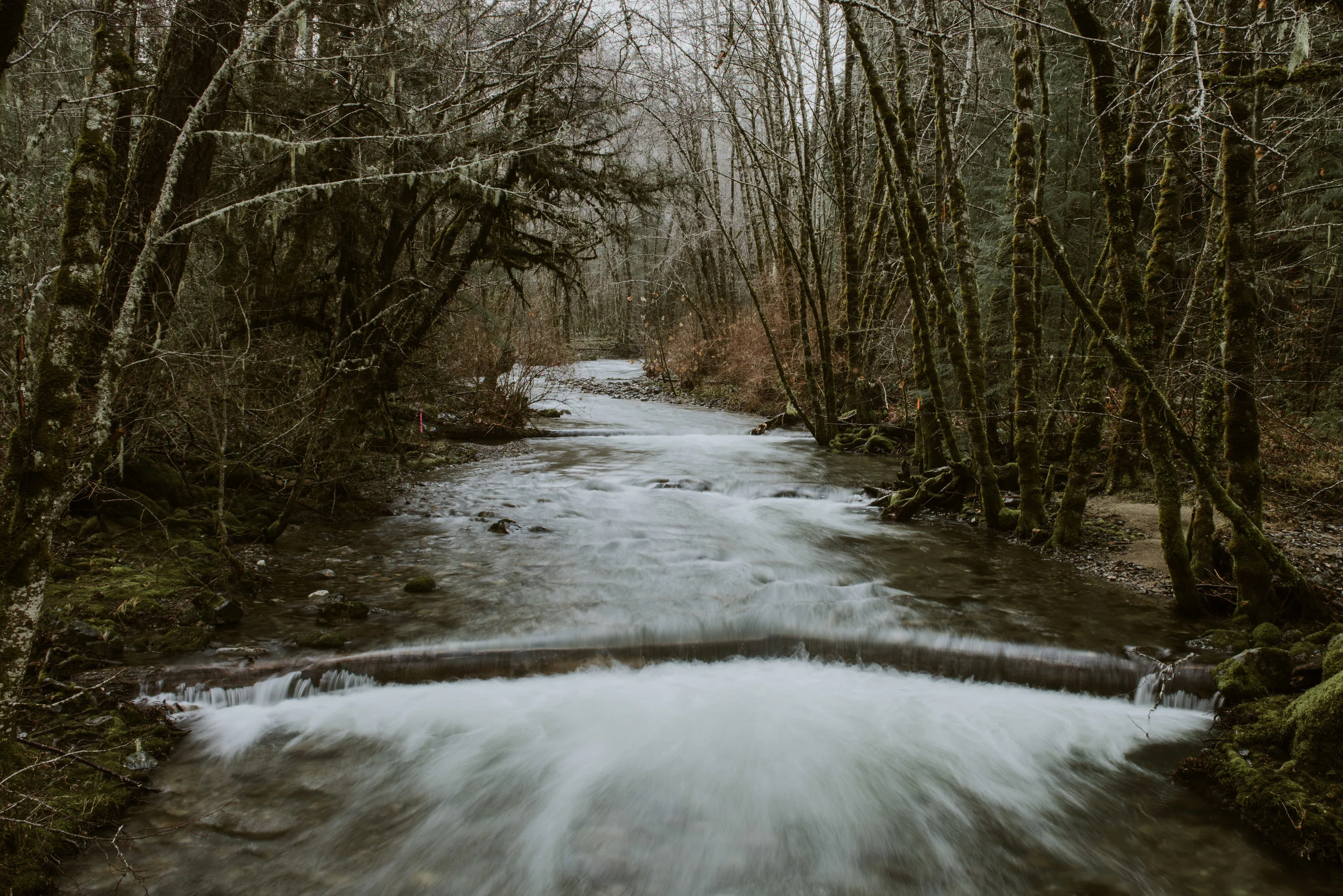 Back Roads of Oregon