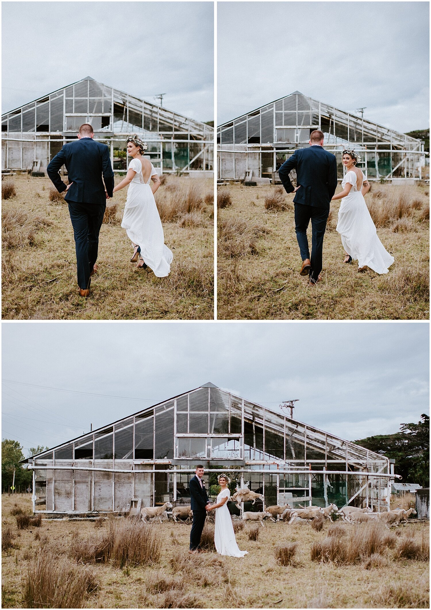 new_zealand_auckland_destination_australia_brisbane_perth_sheep_intimate_elopement_wedding_photographer_0347.jpg
