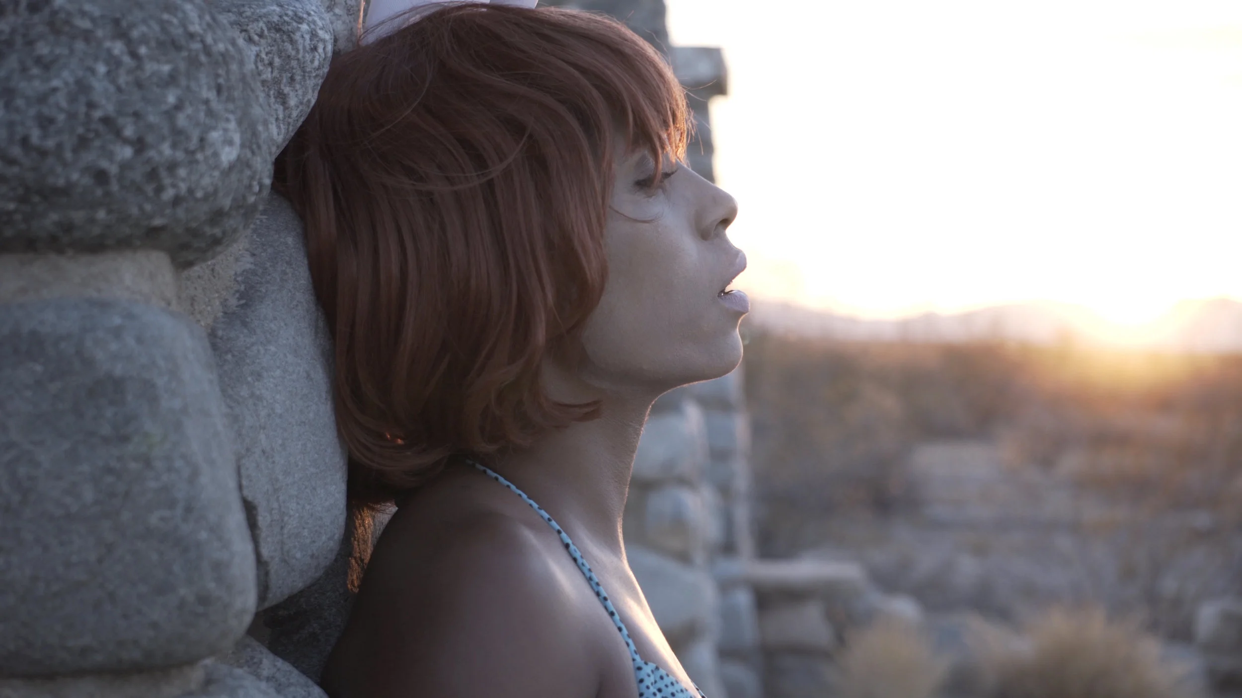 montage short.Image fixe012.jpg
