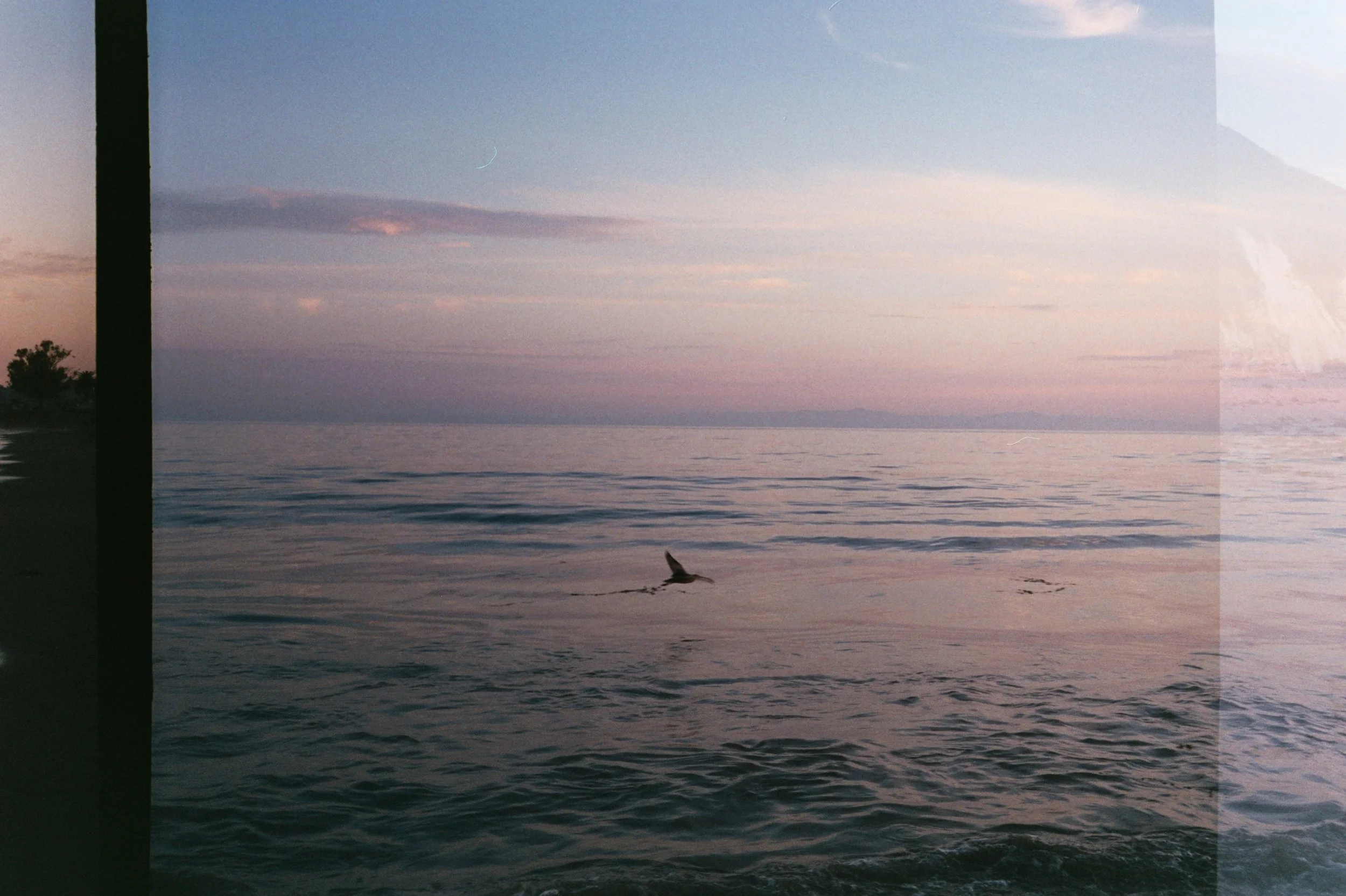AA032A.jpg