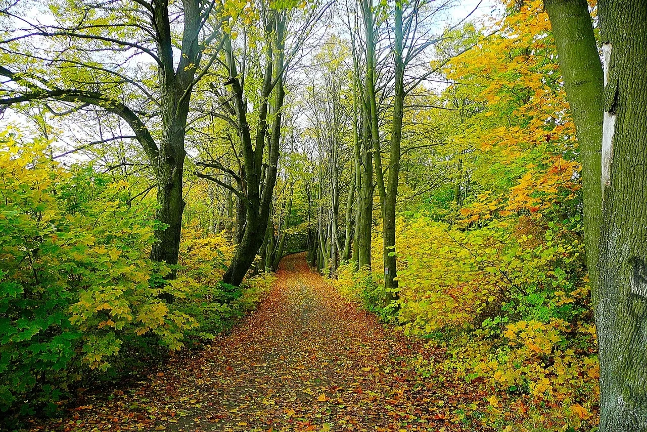 Let's take a new path.jpg
