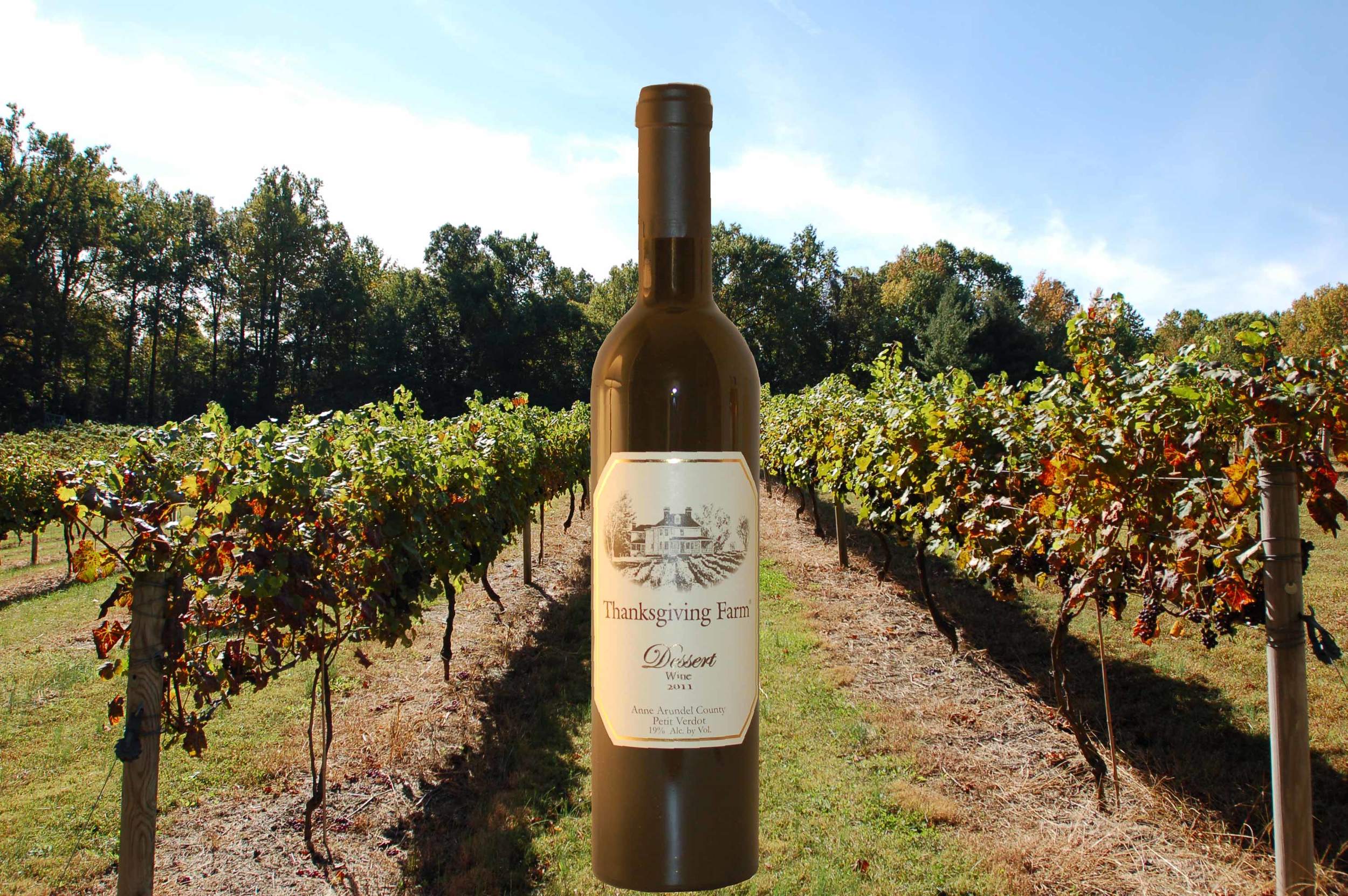 DW Bottle and Vineyard-04.jpg