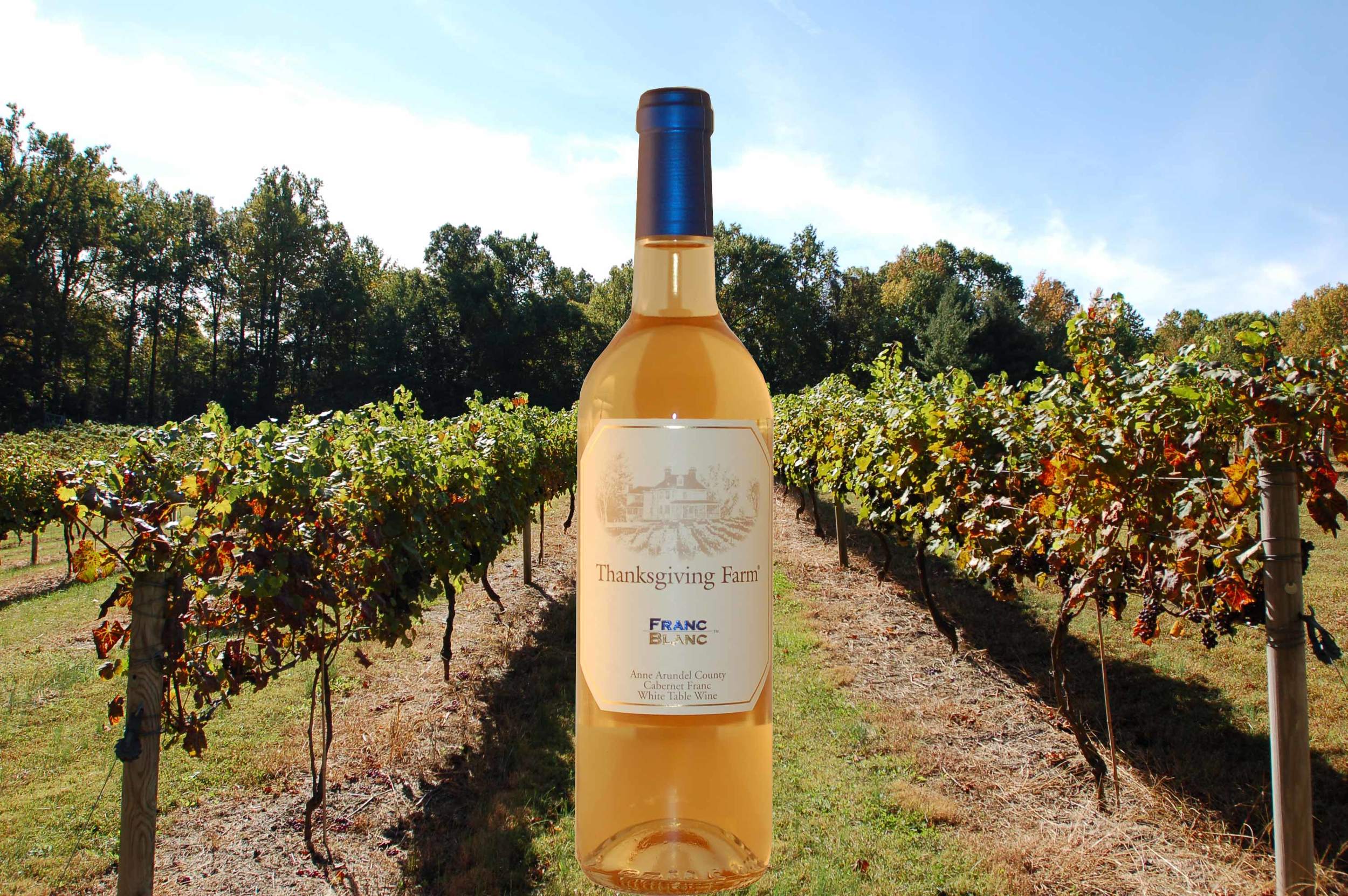 Big Cork Equals Big Wine For Maryland Julia Eats