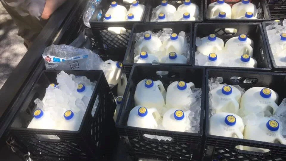 Milk hand out event