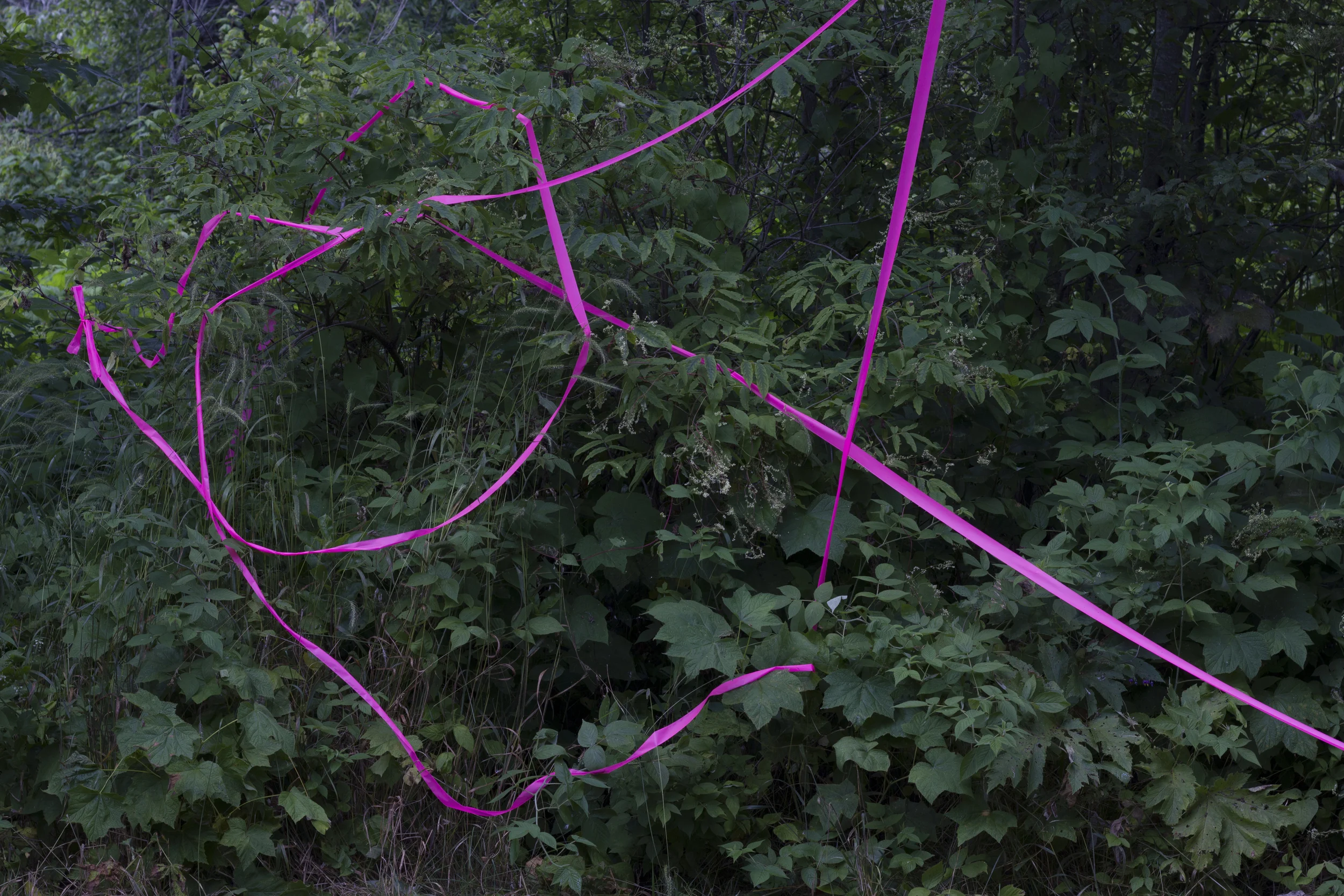 Wisconsin Tape Drawing #1 (2015), Archival Pigment Print, 13x20"
