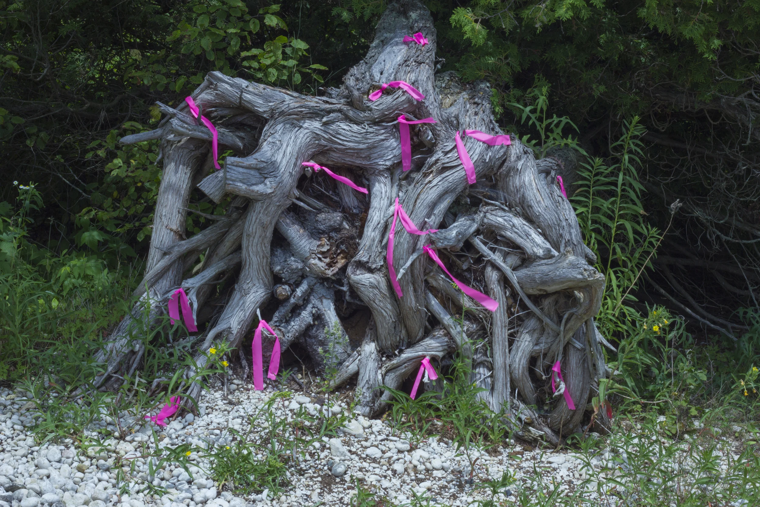 Wisconsin Tape Drawing #2 (2015), Archival Pigment Print, 13x20"