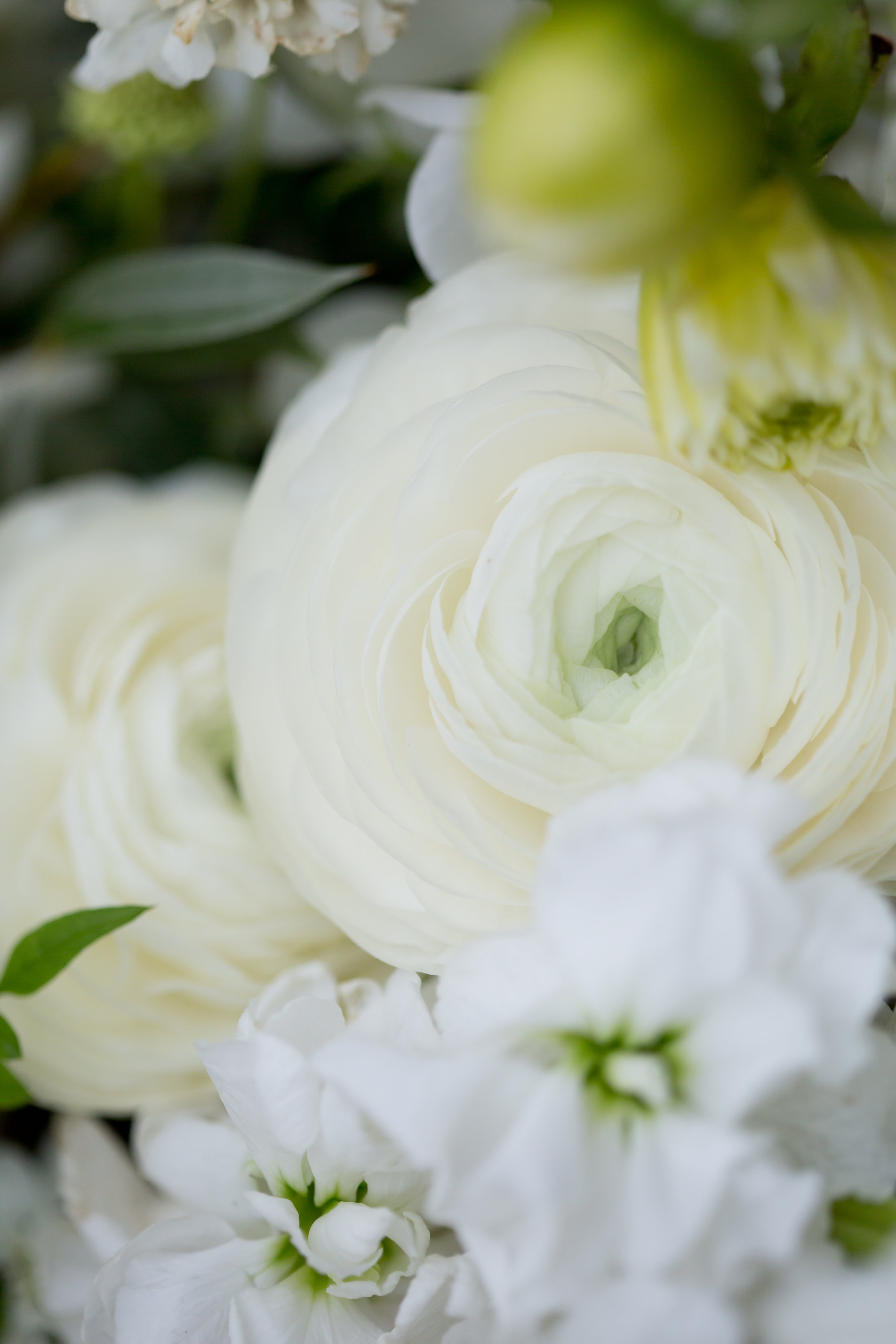 White Wedding Flower Ideas - Wedding Flowers