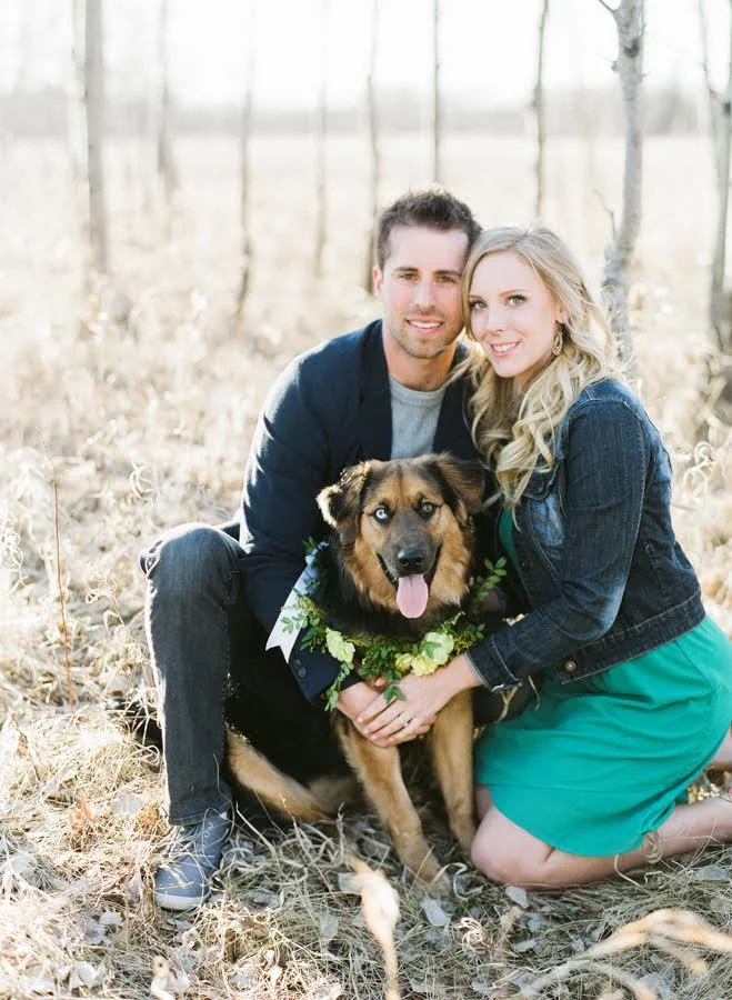 Floral Dog Collar - Winnipeg Wedding Florists