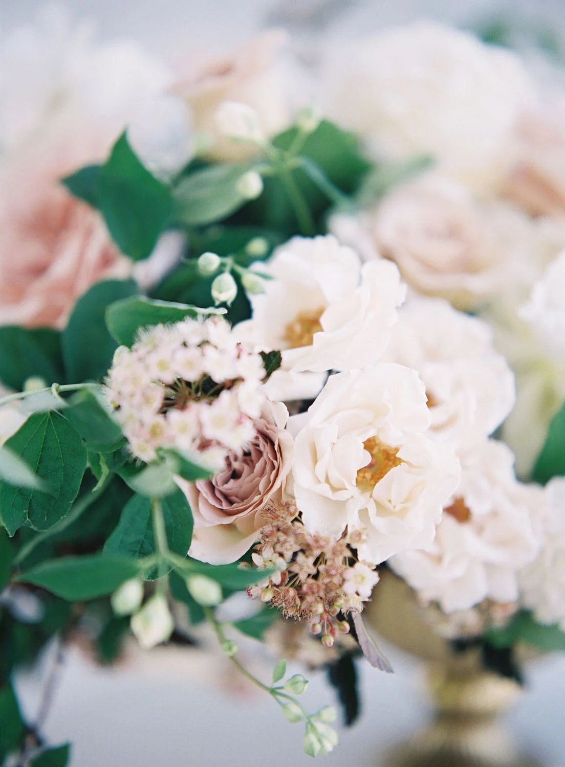 florist-winnipeg-near-me-cielo’s-garden.jpg