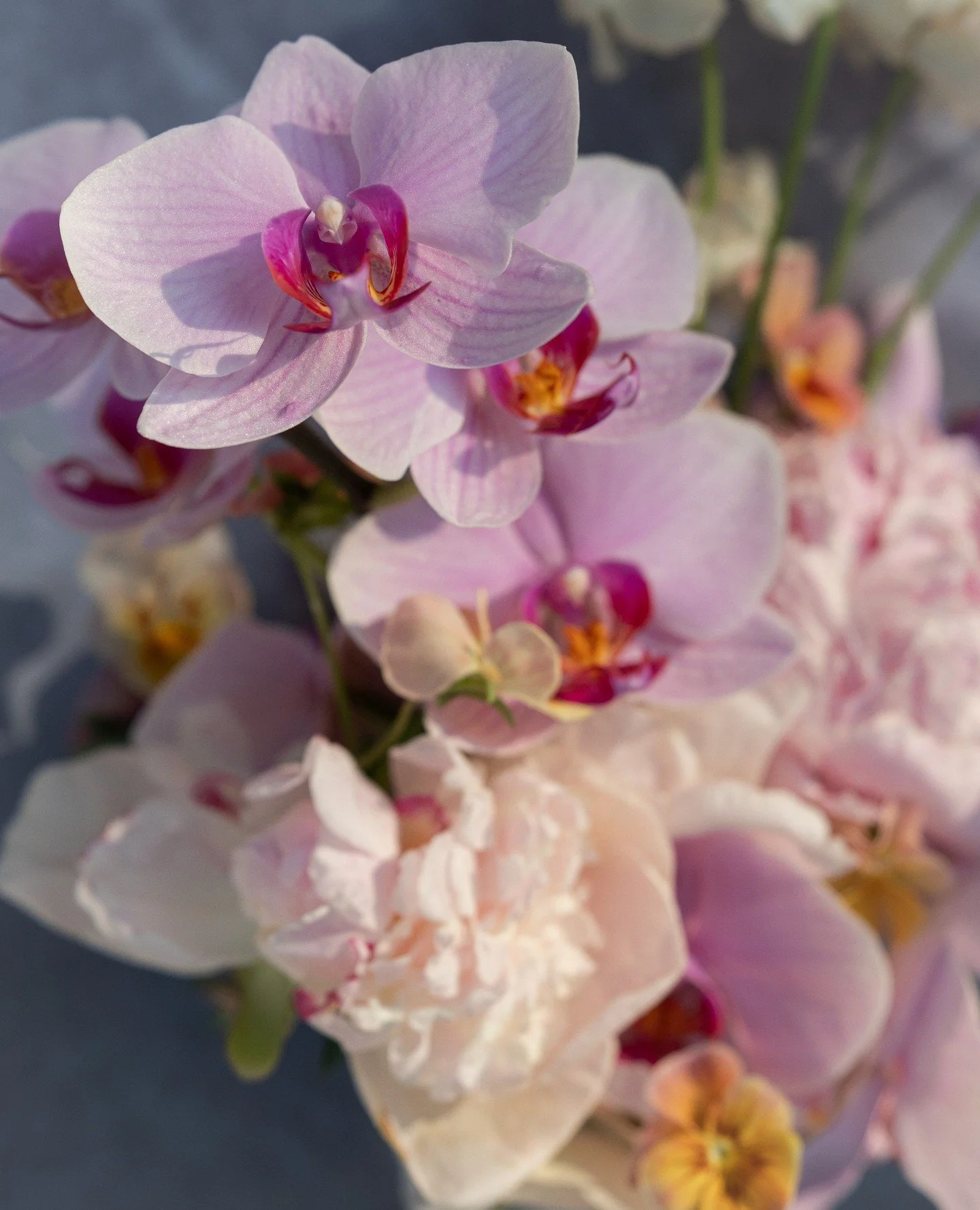 My favourite 2026 and 2027 wedding flower and design trends, on the blog today! ⁠
⁠
A caveat, before you hop over there: &ldquo;You can&rsquo;t please everyone, so please yourself. Trying to make every family member and guest happy can lead to a wedd