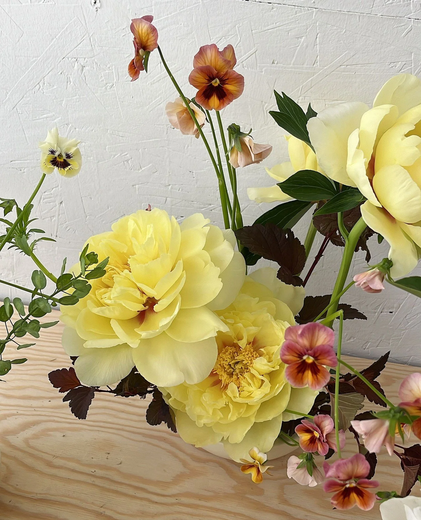 Revisiting this darling little buddy feat a few peonies, some ninebark, and those pansies, all from @missmilliesflowerfarm. ⁠
⁠
I'm wishing for a life surrounded by pansies. Instead, I have a wonderful large yard that has no fence and so I am surroun