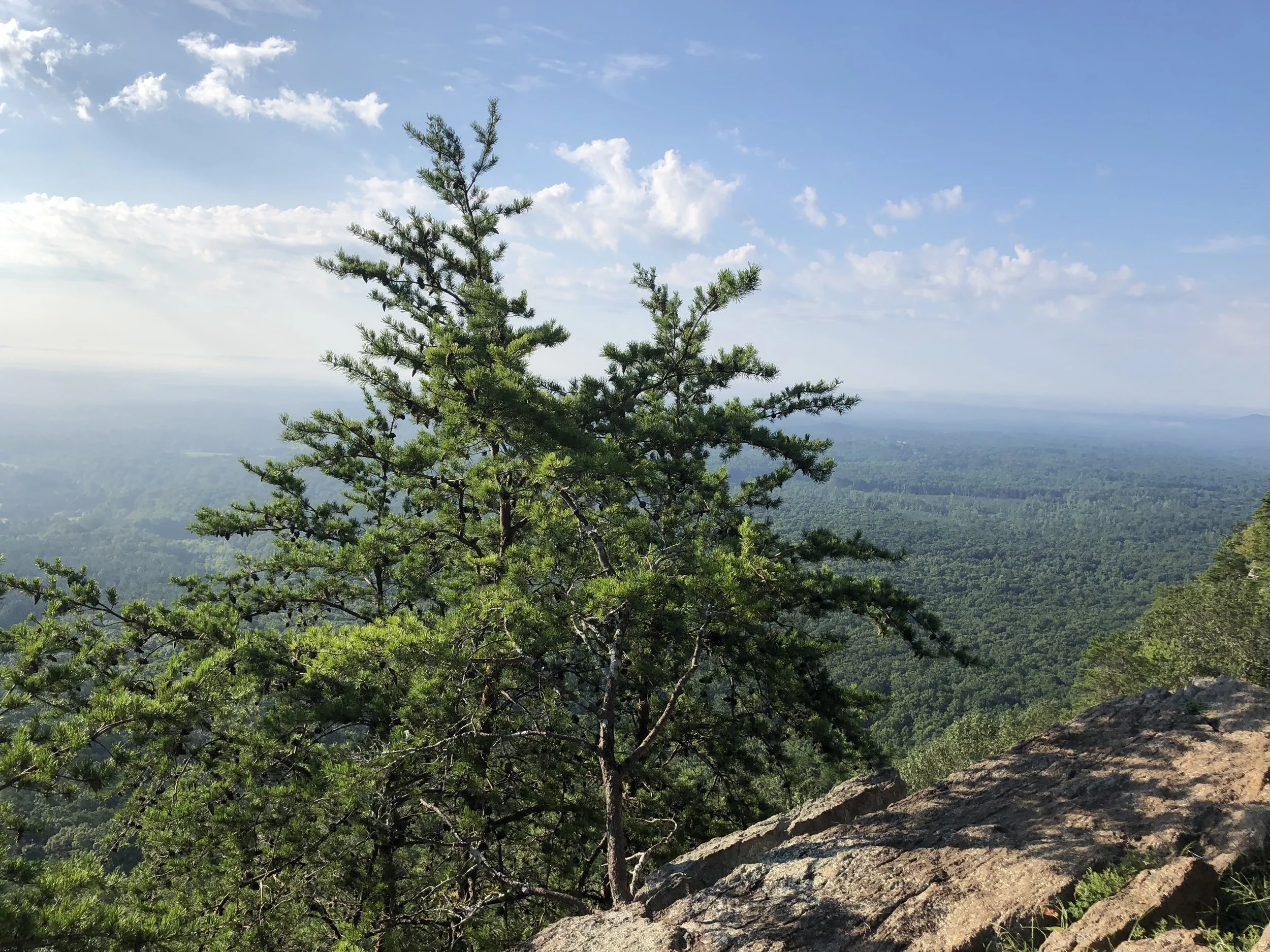 mountain2.jpeg