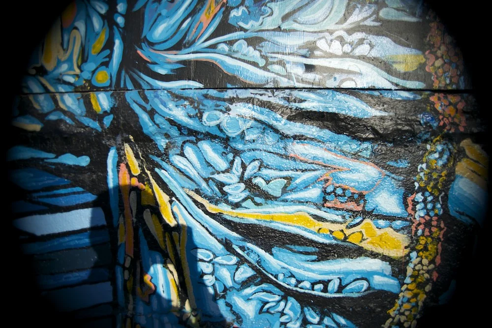 5ptz_graffiti.jpg