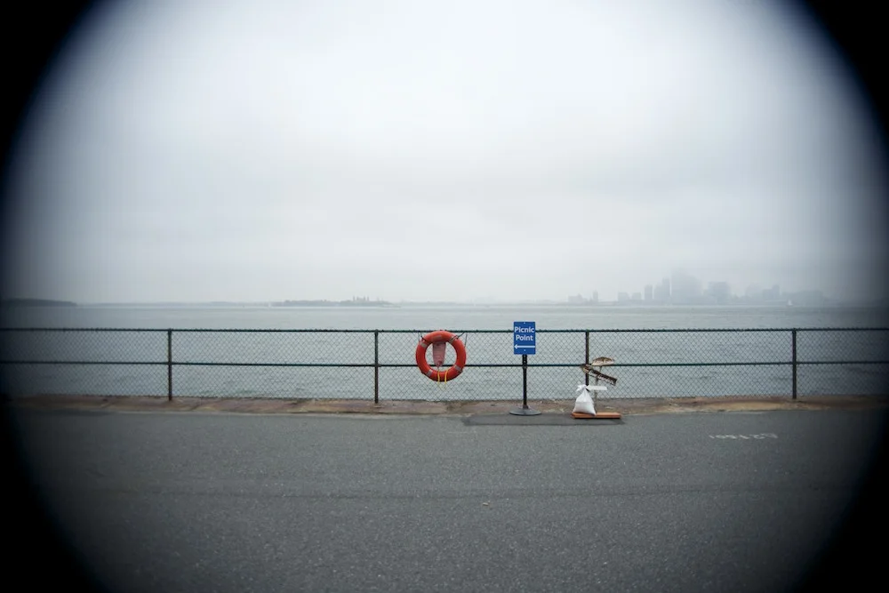 gov_island.jpg