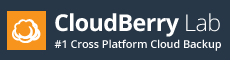Cloudberry Lab Logo.png