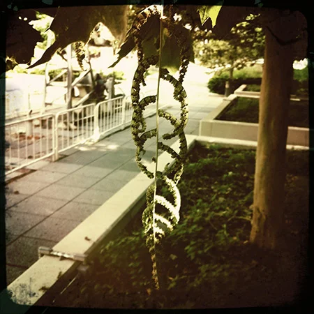 Photo #10