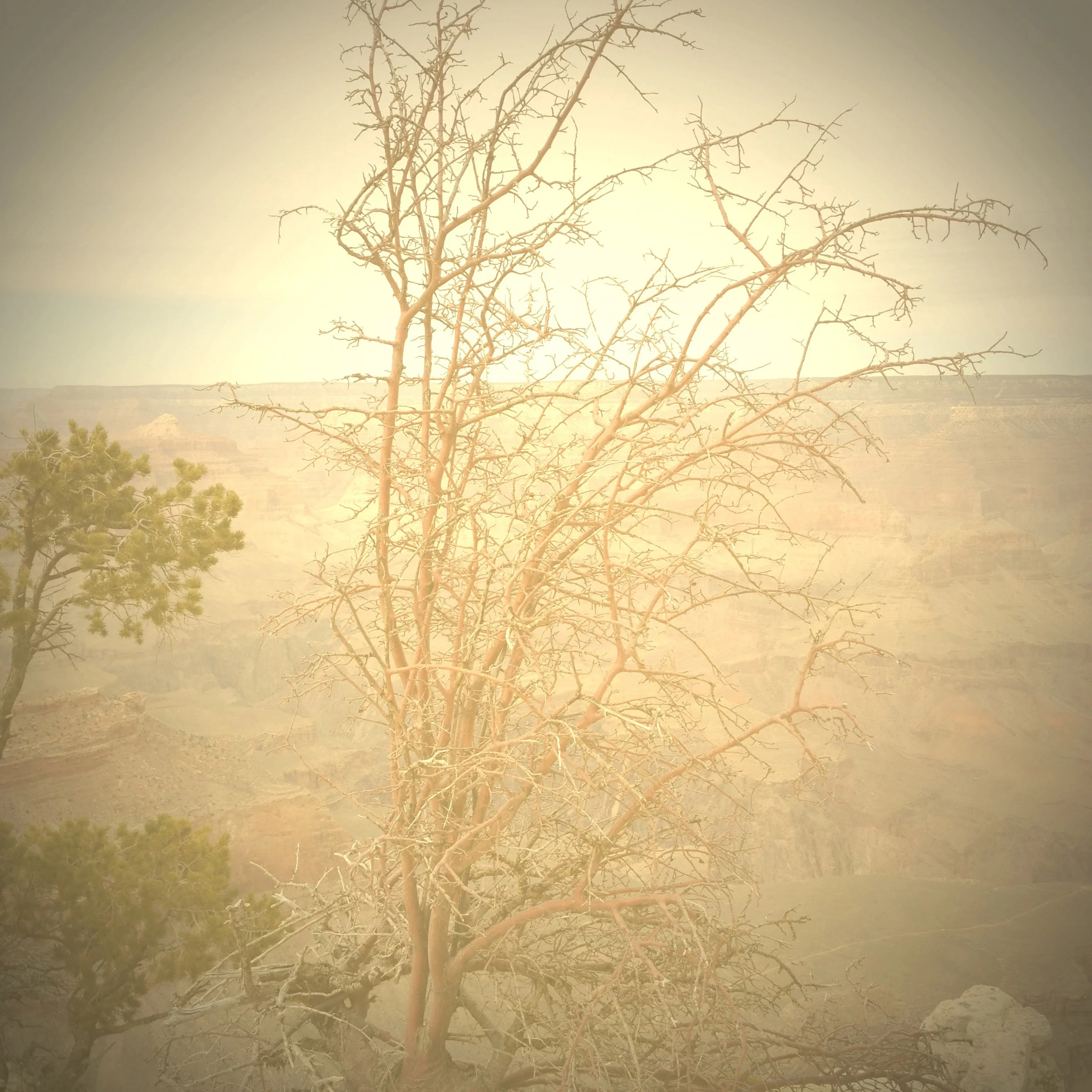Photo #12