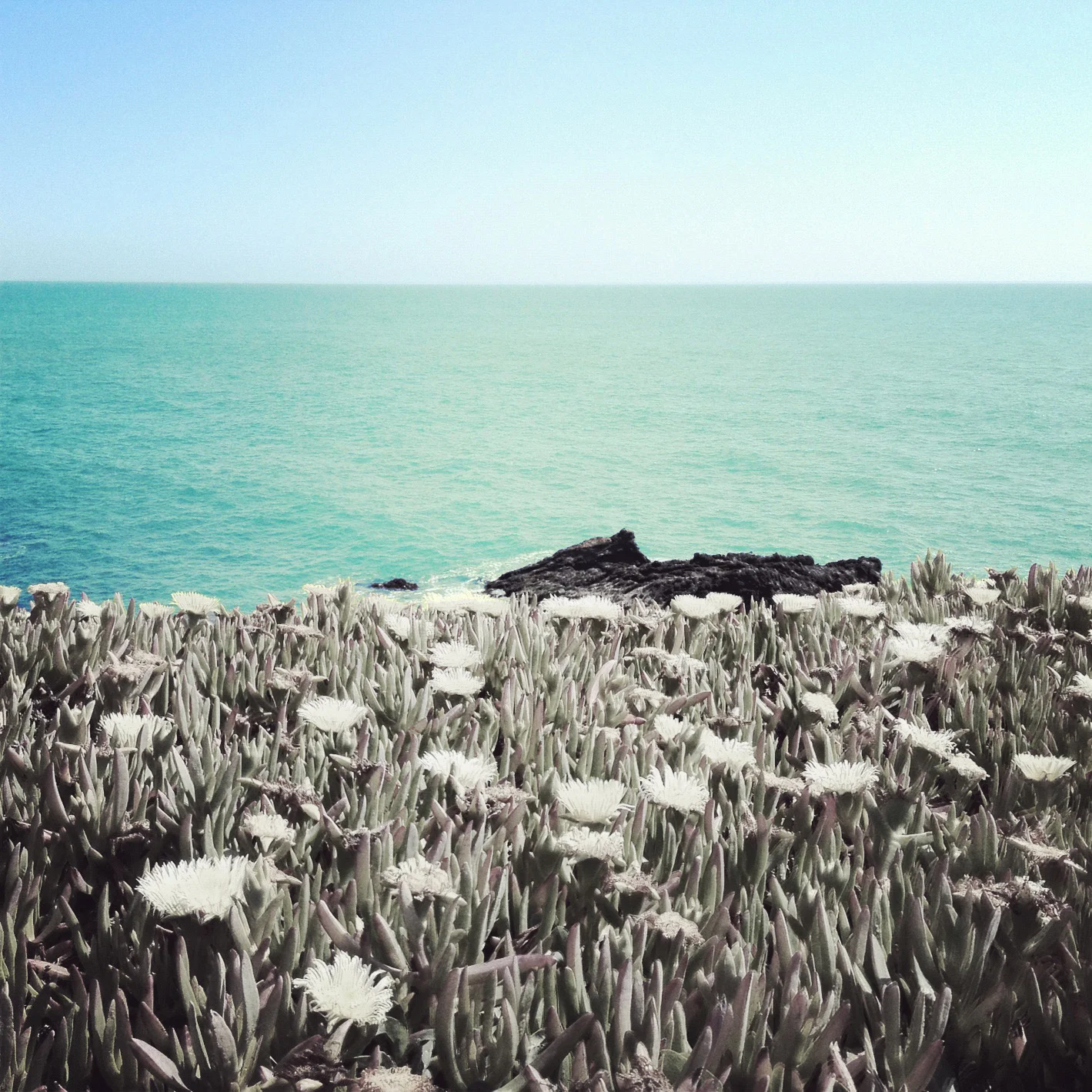 Photo #15