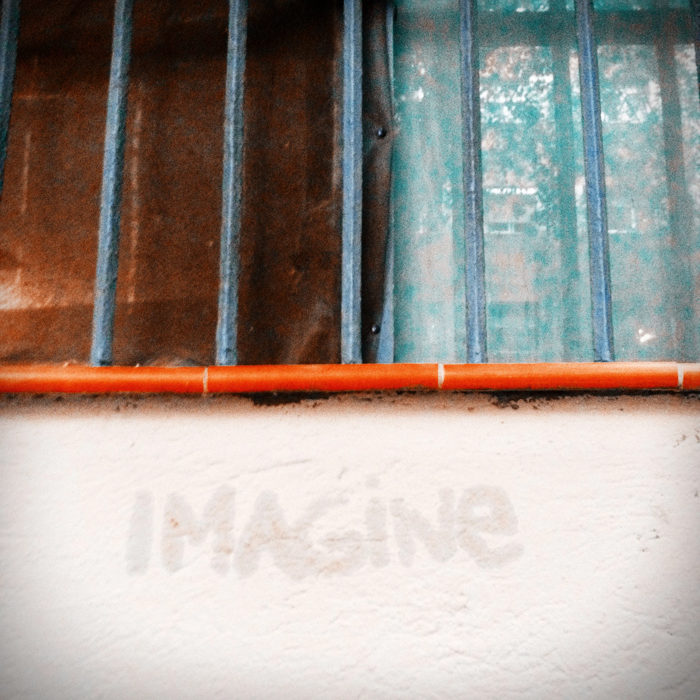Photo #16