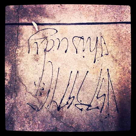 Photo #30